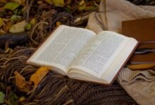 callback attempt frequency analysis