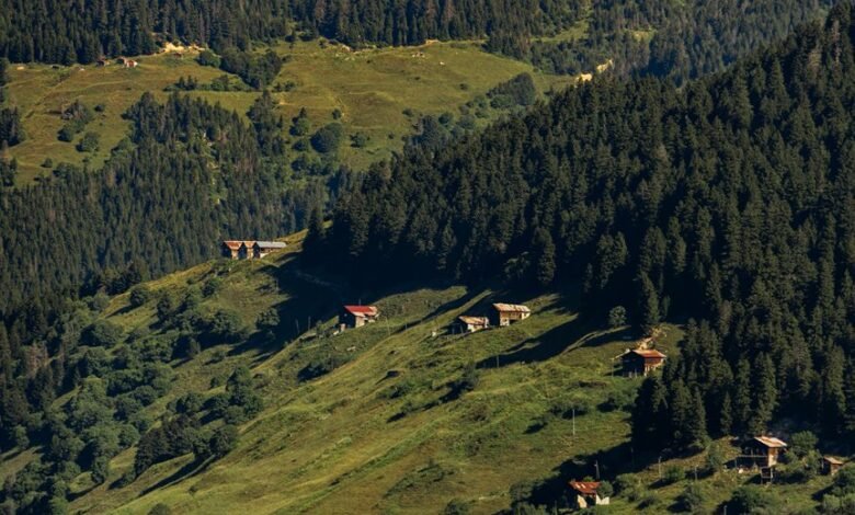 session duration by region