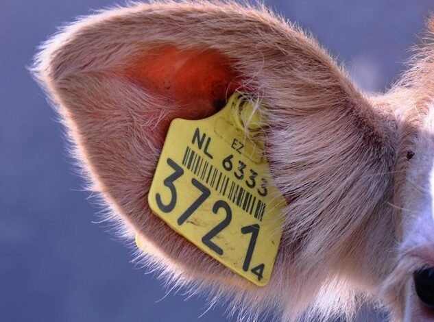 suspicious activity regulation tracking